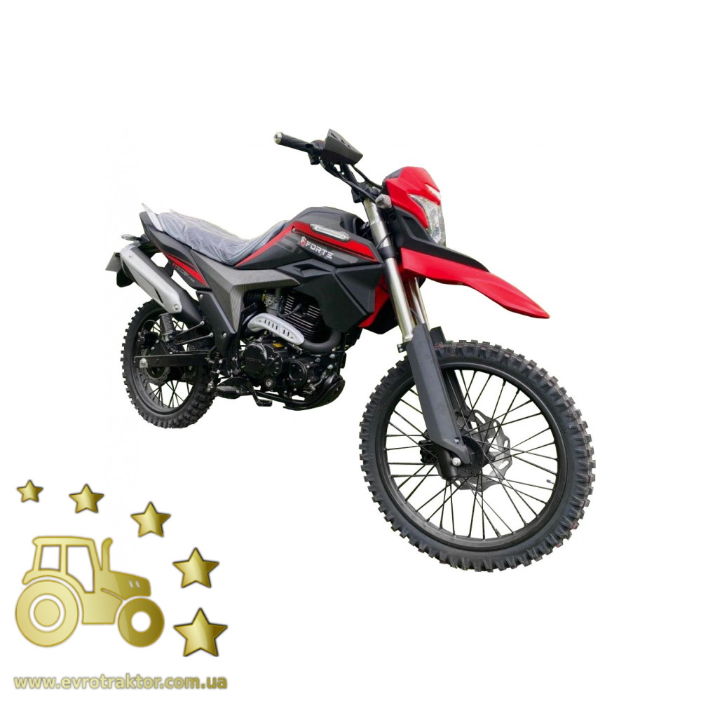 1 Фото Мотоцикл FORTE FT300GY-C5D